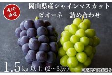厳選 シャインマスカット・ニューピオーネ 2～3房 合計1.5kg以上 詰合せ 産地直送 朝採れ ぶどう 葡萄 Kawahara Green Farm 岡山県産 2025年 [№5735-3289]