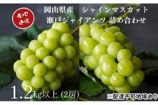 厳選 シャインマスカット・瀬戸ジャイアンツ 2房 合計1.2kg以上 詰合せ 産地直送 朝採れ ぶどう 葡萄 Kawahara Green Farm 岡山県産 2025年 [№5735-3290]