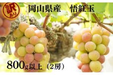 訳あり 悟紅玉  旧ゴルビー 2房 合計800g以上 産地直送 朝採れ ぶどう 葡萄 岡山 Kawahara Green Farm 岡山県産 2025年 [№5735-3294]