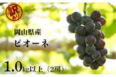 訳あり ニューピオーネ 2房 合計1.0kg以上 産地直送 朝採れ ぶどう 葡萄 岡山 Kawahara Green Farm 岡山県産 2025年 [№5735-3297]