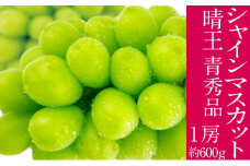 2025年予約受付中 シャインマスカット 晴王 7月～8月出荷 1房 約600g  人気 岡山県産 種無し 皮ごと食べる みずみずしい  フレッシュ 晴れの国 おかやま 果物大国 ハレノフルーツ[№5735-3220]