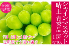 2025年予約受付中 シャインマスカット 晴王 7月8月に1回づつ出荷 2回 定期便 1房 約700g  人気 岡山県産 種無し 皮ごと食べる みずみずしい  フレッシュ 晴れの国 おかやま 果物大国 ハレノフルーツ[№5735-3225]