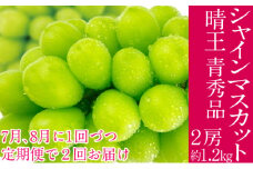 2025年予約受付中 シャインマスカット 晴王 7月8月に1回づつ出荷 2回 定期便 2房 約1.2kg  人気 岡山県産 種無し 皮ごと食べる みずみずしい  フレッシュ 晴れの国 おかやま 果物大国 ハレノフルーツ[№5735-3226]