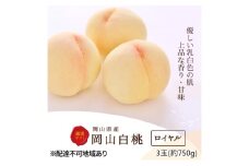 桃 2025年 先行予約 白桃 3玉(約750g)等級：ロイヤル 化粧箱入り もも モモ 岡山県産 国産 フルーツ 果物 セット ギフト[№5735-3264]