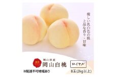 桃 2025年 先行予約 白桃 8玉(2kg以上)等級：ロイヤル 化粧箱入り もも モモ 岡山県産 国産 フルーツ 果物 セット ギフト[№5735-3266]