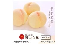 桃 2025年 先行予約 白桃 5玉 (1.5kg以上) 等級：ロイヤル 木箱入り もも モモ 岡山県産 国産 フルーツ 果物 セット ギフト[№5735-3267]