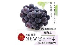 ぶどう 2025年 先行予約 ニューピオーネ 2房(1房480g以上) 化粧箱入り ブドウ 葡萄 岡山県産 国産 フルーツ 果物 ギフト[№5735-3268]