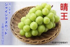 ぶどう 先行予約 シャインマスカット 晴王 1房 700g以上  ブドウ 葡萄  岡山県産 国産 フルーツ 果物 ギフト[№5735-3303]