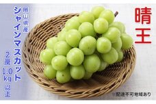 ぶどう 先行予約 シャインマスカット 晴王 2房 合計1.0kg以上  ブドウ 葡萄  岡山県産 国産 フルーツ 果物 ギフト[№5735-3305]