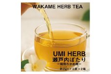 焙煎 わかめ茶 約2g×14袋入り×2箱セット 海藻漁師が自宅で飲むお茶 天然 海藻 無添加商品 ティーバッグ 鉄分豊富 瀬戸内ぽたり 自然派女子のキレイ習慣 鉄分 カルシウム マグネシウム 食物繊維 ミネラル [№5735-3325]