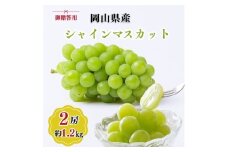 御贈答用 岡山県産 シャインマスカット 2房入り(1.2kg以上) ぶどう ブドウ 葡萄 フルーツ 果物 岡山 瀬戸内市[№5735-3347]