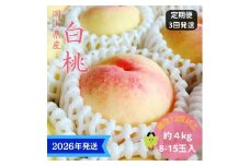 【2026年先行受付】 白桃 3回 定期便 特秀 ロイヤル 大玉 岡山県産 桃 もも モモ 御中元 ギフト 御礼 プレゼント 御礼 御祝 御供 果物 くだもの フルーツ [№5735-3334]