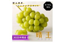 【2025年先行受付】 シャインマスカット 晴王 特選 大房 約700g 1房  化粧箱入 岡山県産 ぶどう 葡萄 ブドウ ギフト 御礼 プレゼント 御礼 御祝 御供 果物 くだもの フルーツ [№5735-3339]