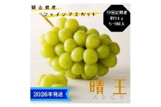 【2026年先行受付】 シャインマスカット 晴王 10回 定期便 秀品 大房 岡山県産 ぶどう ギフト 御礼 プレゼント 御礼 御祝 御供 果物 くだもの フルーツ [№5735-3344]