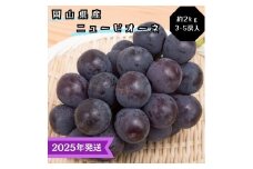 【2025年先行受付】 ぶどう ニューピオーネ 秀品 約2kg(3～5房) 岡山県産 ぶどう 葡萄 ブドウ ギフト 御礼 プレゼント 御礼 御祝 御供 果物 くだもの フルーツ [№5735-3345]