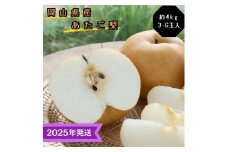 【2025年先行受付】 梨 あたご梨  秀品 約4kg(3～6玉) 岡山名産 日本一大きな梨 なし ナシ お歳暮 ギフト 御礼 プレゼント 御礼 御祝 御供 果物 くだもの フルーツ [№5735-3346]