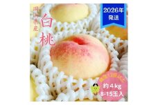 【2026年先行受付】 白桃 特秀 ロイヤル 大玉 約4kg(8～15玉) 岡山県産 桃 もも モモ 御中元 ギフト 御礼 プレゼント 御礼 御祝 御供 果物 くだもの フルーツ [№5735-3356]