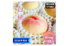 【2026年先行受付】 白桃 特秀 ロイヤル 大玉 晩生品種 約4kg(8～15玉) 岡山県産 桃 もも モモ 御中元 ギフト 御礼 プレゼント 御礼 御祝 御供 果物 くだもの フルーツ [№5735-3357]