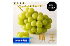 【2026年先行受付】 シャインマスカット 晴王 ハウス栽培 約2kg(3～5房目安) 岡山県産 ぶどう 葡萄 ブドウ 御中元 ギフト 御礼 プレゼント 御礼 御祝 御供 果物 くだもの フルーツ [№5735-3358]