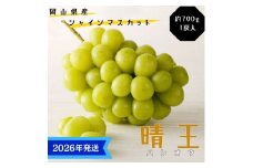 【2026年先行受付】 シャインマスカット 晴王 特選 大房 約700g 1房  化粧箱入 岡山県産 ぶどう 葡萄 ブドウ ギフト 御礼 プレゼント 御礼 御祝 御供 果物 くだもの フルーツ [№5735-3360]