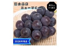 【2026年先行受付】 ぶどう ニューピオーネ 秀品 約2kg(3～5房) 岡山県産 ぶどう 葡萄 ブドウ ギフト 御礼 プレゼント 御礼 御祝 御供 果物 くだもの フルーツ [№5735-3365]