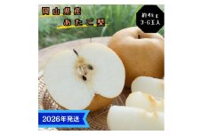 【2026年先行受付】 梨 あたご梨  秀品 約4kg(3～6玉) 岡山名産 日本一大きな梨 なし ナシ お歳暮 ギフト 御礼 プレゼント 御礼 御祝 御供 果物 くだもの フルーツ [№5735-3366]