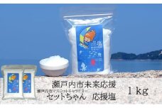 セットちゃん 応援塩 1kg(500g×2袋) 塩 フレーク塩 粗塩 調味料 岡山 瀬戸内市 [№5735-3371]