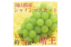 [HS] ぶどう 2025年 先行予約 9月・10月発送 シャインマスカット 晴王 1房 約750g ブドウ 葡萄 岡山県産 国産 フルーツ 果物 ギフト [№5735-3239]