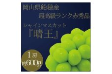 [HS] ぶどう 2025年 先行予約 9月・10月発送 最高級品 シャインマスカット 晴王 1房 約600g ブドウ 葡萄 岡山県産 船穂産 フルーツ 果物 ギフト [№5735-3241]