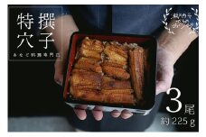 穴子 焼き穴子 3尾入 225g 蒲焼き 小分け 真空パック 厳選 特選 不揃い 小ぶり 魚貝類 魚介類 おかず 和食 魚料理 青島 冷蔵 冷蔵配送 岡山 岡山県 瀬戸内市 [№5735-3385]
