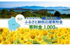 瀬戸内市への応援寄附（返礼品はありません）1口 1,000円 返礼品なし [№5735-2098]
