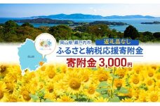 瀬戸内市への応援寄附（返礼品はありません）1口 3,000円 返礼品なし [№5735-2099]