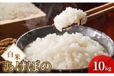 令和7年度産 新米 白米 あけぼの 10kg 米 お米 コメ おこめ 精米 岡山 瀬戸内市 [№5735-3394]