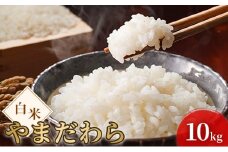 令和7年度産 新米 白米 やまだわら 10kg 米 お米 コメ おこめ 精米 岡山 瀬戸内市 [№5735-3396]