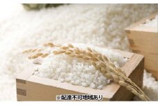 令和7年度産 きぬむすめ 精米 5kg 岡山県 赤磐市産 お米