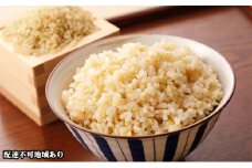令和7年度産 きぬむすめ 玄米 10kg 岡山県 赤磐市産 お米