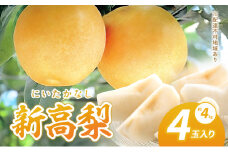 梨 2024年 新高梨（にいたかなし）4玉入り(約4kg）赤磐市赤坂産 なし フルーツ 果物