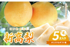 梨 2024年 新高梨（にいたかなし）オリジナルギフト箱 5玉入り（約4kg）赤磐市赤坂産 なし フルーツ 果物