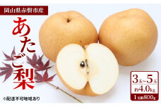 梨 2024年 先行予約 あたご梨 3玉～5玉 約4.0kg（1玉約800g）岡山県赤磐市産【配達不可：離島】 なし フルーツ 果物