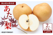 梨 2024年 先行予約 あたご梨 2玉 約1.6kg（1玉約800g）岡山県 赤磐市産【配達不可：離島】 なし フルーツ 果物