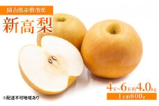 梨 2024年 先行予約 新高梨 4玉～6玉 約4.0kg（1玉約800g）岡山県赤磐市産【配達不可：離島】 なし フルーツ 果物