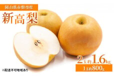 梨 2024年 先行予約 新高梨 2玉 約1.6kg（1玉約800g）岡山県 赤磐市産【配達不可：離島】 なし フルーツ 果物
