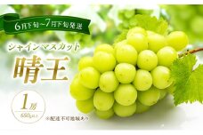 ぶどう 2025年 先行予約 シャイン マスカット 晴王 1房 650g以上 2025年6月下旬～7月下旬発送分 ブドウ 葡萄 岡山県 赤磐市産 国産 フルーツ 果物 ギフト 赤坂青空市