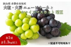 ぶどう 2025年 先行予約 シャイン マスカット 晴王 1房 ニューピオーネ  大粒 大房 1房  合計1.3kg以上 ブドウ 葡萄 岡山県 赤磐市産 国産 フルーツ 果物 ギフト 赤坂青空市