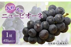 ぶどう 2025年 先行予約 ニュー ピオーネ 大粒 大房 1房 650g以上 ブドウ 葡萄 岡山県 赤磐市産 国産 フルーツ 果物 ギフト 赤坂青空市