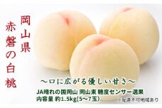 桃 2025年 先行予約 赤磐の 白桃 約1.5kg 5～7玉 JA晴れの国 糖度センサー選果 もも モモ 岡山県 赤磐市産 国産 フルーツ 果物 ギフト デザート