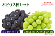 ぶどう 2025年 先行予約 マスカット オブ アレキサンドリア ニューピオーネ 各1房 葡萄 岡山県 赤磐市産 フルーツ 果物