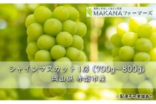 ぶどう 2025年 先行予約 シャイン マスカット 1房 700g～800g 大粒 種無し ブドウ 葡萄  岡山県 赤磐市産  国産 フルーツ 果物 ギフト MAKANAファーマーズ