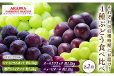 ぶどう 2025年 先行予約 ぶどう 食べ比べ 約1.2kg～1.5kg×4種 葡萄 岡山県 赤磐市産 フルーツ 果物