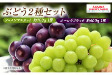 ぶどう 2025年 先行予約 シャインマスカット 約700g 1房 オーロラブラック 約600g 1房 葡萄 岡山県 赤磐市産 フルーツ 果物